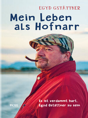 cover image of Mein Leben als Hofnarr